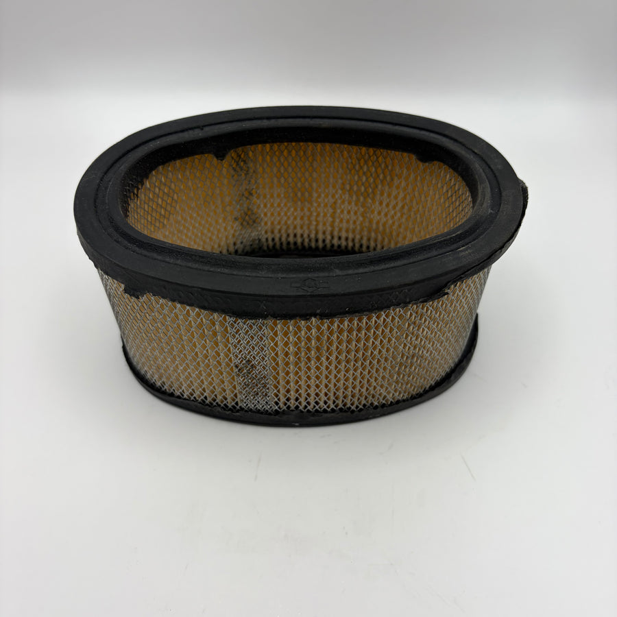 Air Filter (#393725)