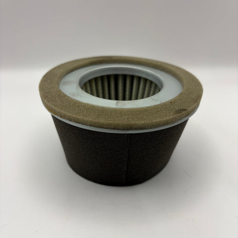 Ait Filter Assy., Robin (#227-32610-07)