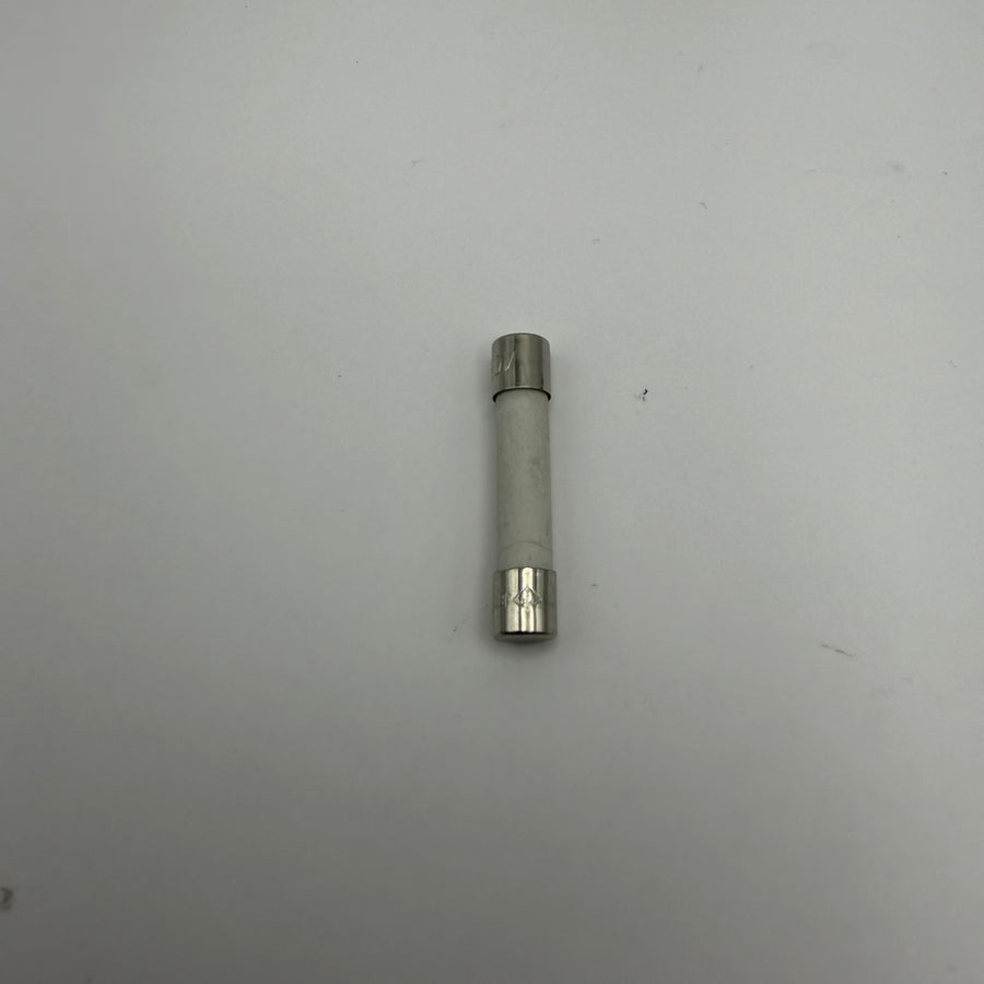 Fuse, 250V (#MERGAB15)