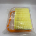 Air Filter Set 2 Piece, TS410 – TS420 (#43985)