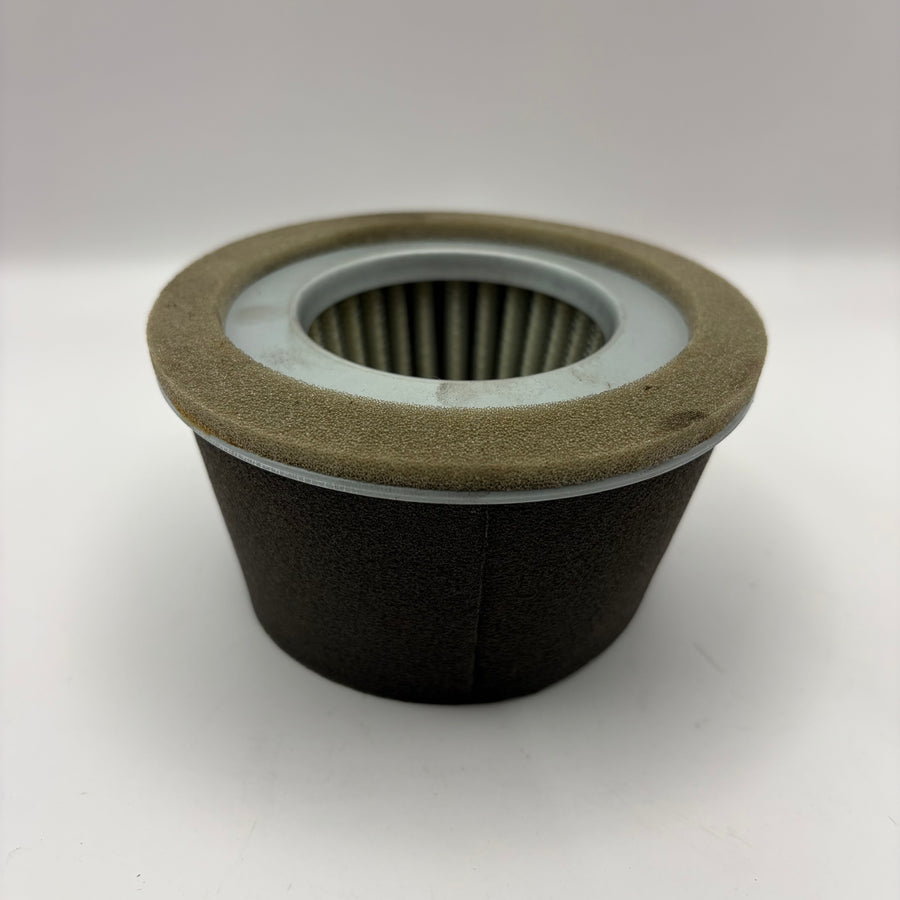 Ait Filter Assy., Robin (#227-32610-07)