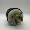 Male Plug, 20A – L16 (#HBL2431)
