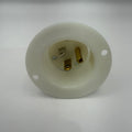 Male Plug, Flange Style Std. 115V ( Essick Mini Sprayer ) (#HBL5278C)