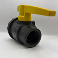 Ball Valve, 2" X 2" FPT (#87092260)