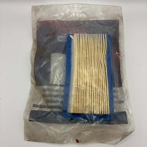 Air Filter, Generac (#078601)