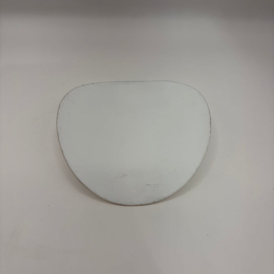 Neptune# 000200, Diaphragm Ais Lg ( Approx. 4" Dia.)